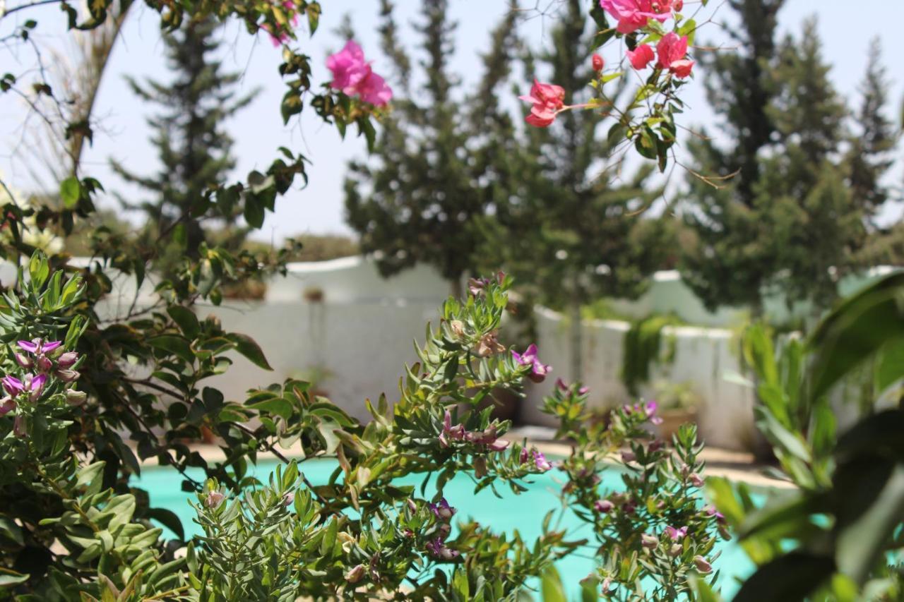 Riad Sanam essaouira Essaouira Exterior foto
