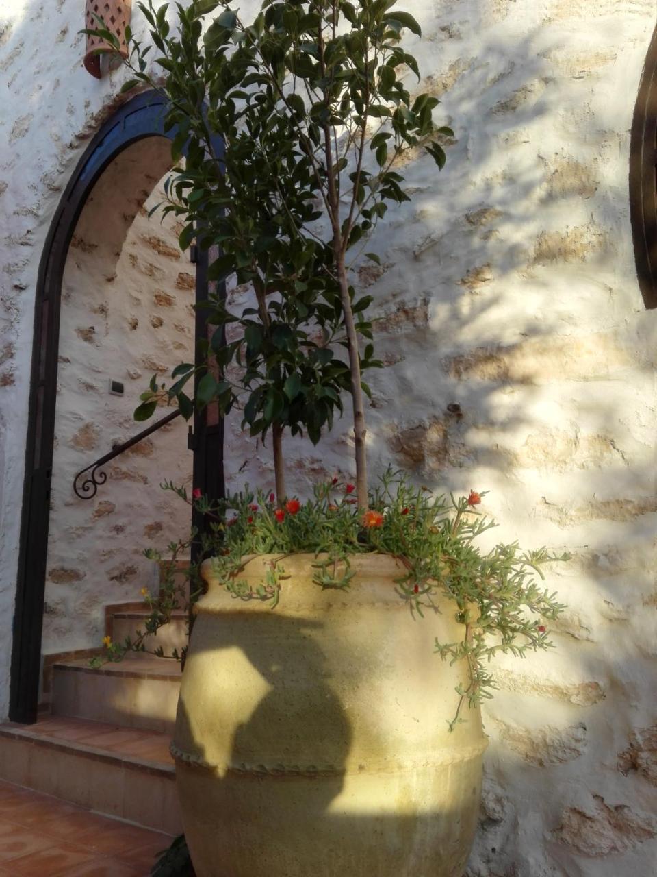 Riad Sanam essaouira Essaouira Exterior foto